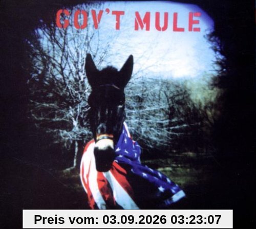 Gov't Mule