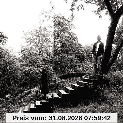 Timber Timbre (New Version)