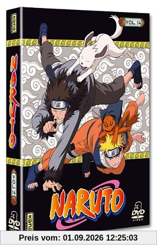 Naruto, vol. 14 [FR Import]
