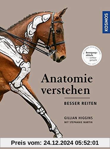 Anatomie verstehen - besser reiten: Bewegungsabläufe und Biomechanik sichtbar gemacht