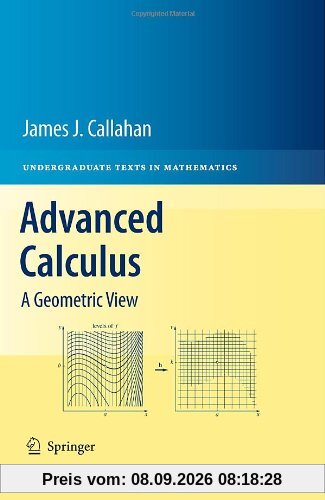 Advanced Calculus: A Geometric View (Undergraduate Texts in Mathematics)