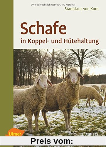 Schafe in Koppel- und Hütehaltung