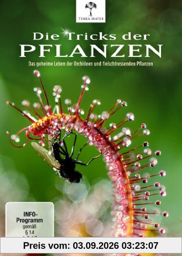 Die Tricks der Pflanzen