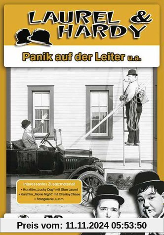 Laurel & Hardy - Panik auf der Leiter / Unschuldig hinter Gittern / Two Tars / Angora Love