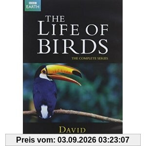 David Attenborough's Life Of Birds [VHS] [UK Import]