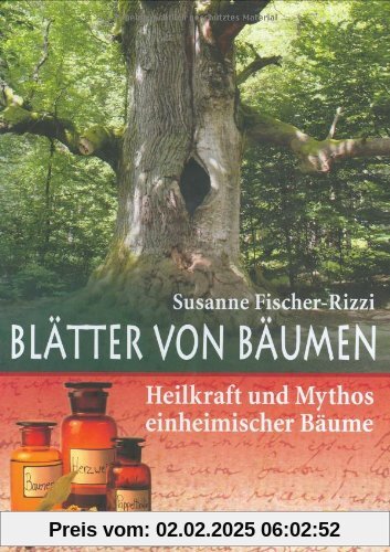 Blätter von Bäumen: Heilkraft und Mythos einheimischer Bäume