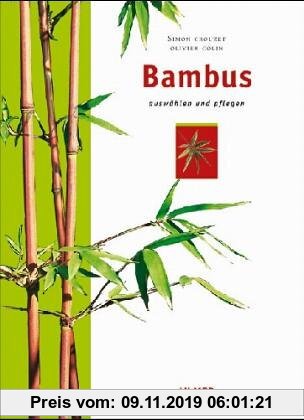 Gebr. - Bambus: Auswählen und pflegen