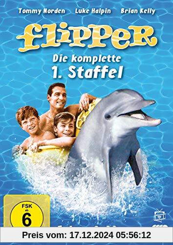 Flipper - Die komplette 1. Staffel [4 DVDs]