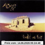 Midnight Oil Diesel & Dust