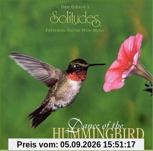 Dance of the Hummingbird