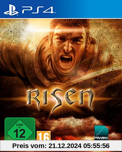 Risen - PlayStation 4