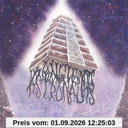 Ancient Astronauts