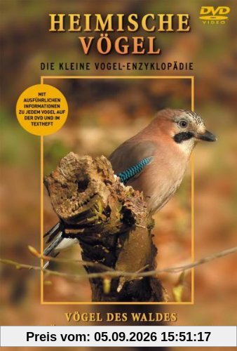 Heimische Vögel - Wald, Seen, Teiche