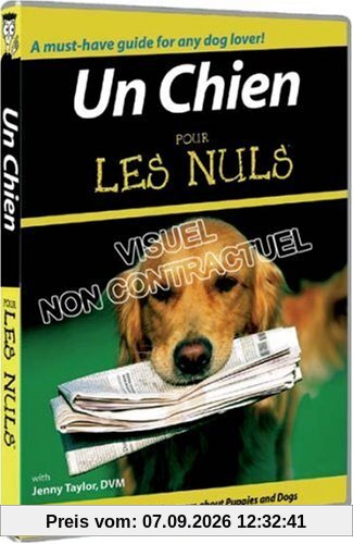 Un chien pour les nuls [FR Import]