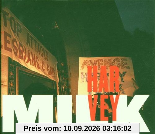 Stewart Wallace: Harvey Milk (Gesamtaufnahme)