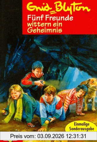 Fünf Freunde wittern ein Geheimnis
