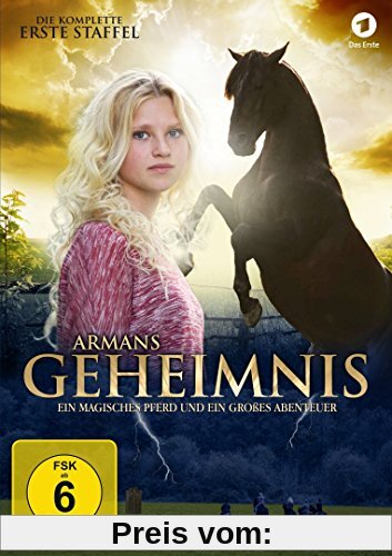 Armans Geheimnis - Die komplette erste Staffel [2 DVDs]