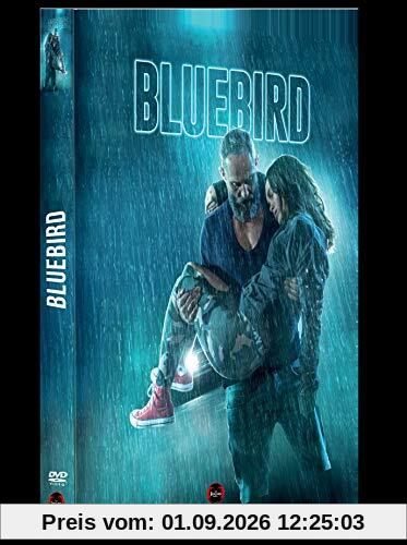 Bluebird