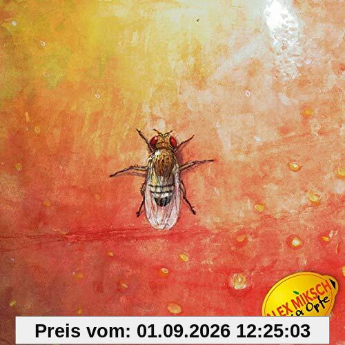Nur a Opfe