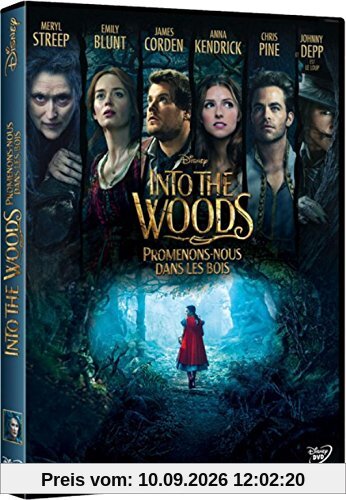 Into the woods : promenons-nous dans les bois [FR Import]