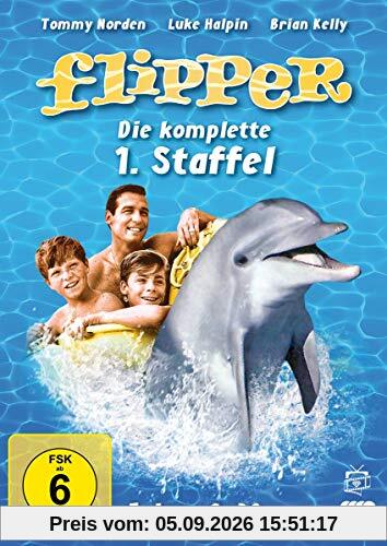 Flipper - Die komplette 1. Staffel [4 DVDs]