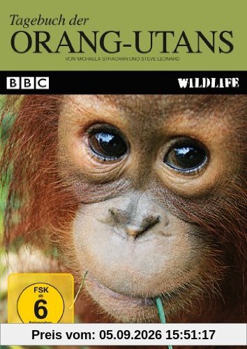 Tagebuch der Orang-Utans