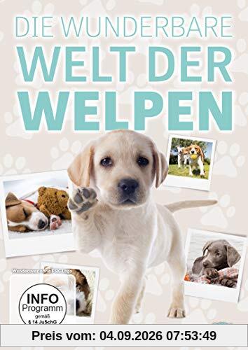 Die wunderbare Welt der Welpen