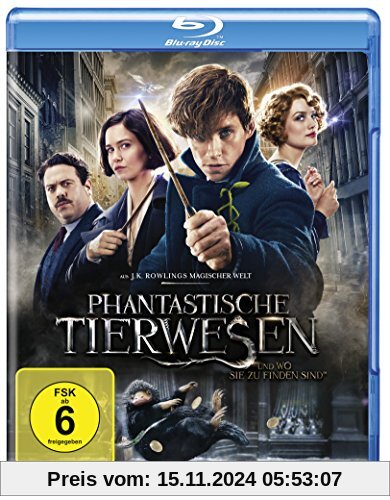 Phantastische Tierwesen und wo sie zu finden sind [Blu-ray]