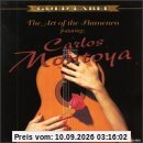 The Art of the Flamenco