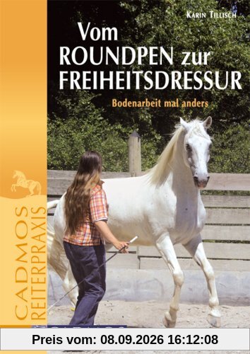 Vom Round Pen zur Freiheitsdressur: Bodenarbeit mal anders
