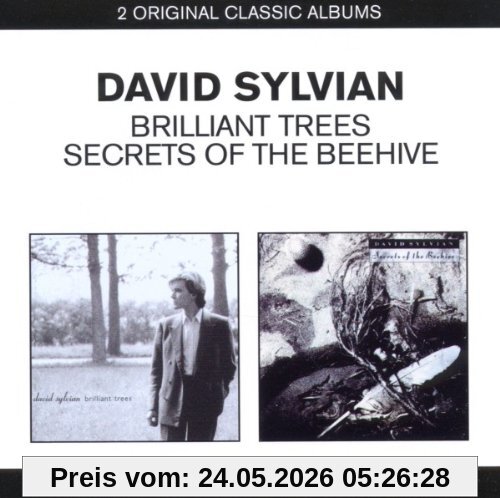 David Sylvian 2in1 (Brilliant Trees/Secrets Of The Beehive)