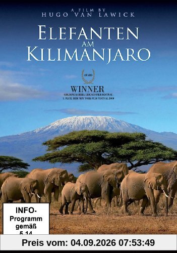 Elefanten am Kilimanjaro
