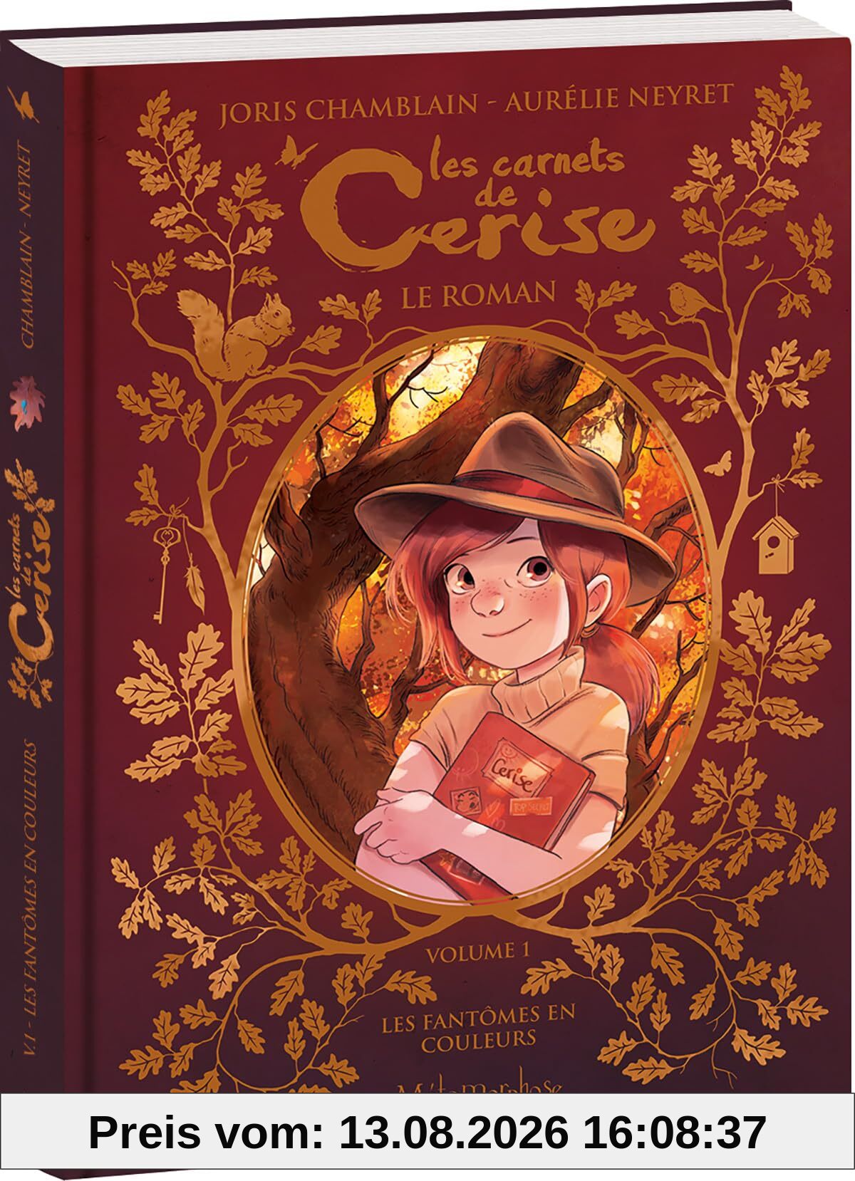 Les carnets de Cerise : le roman. Vol. 1. Les fantômes en couleurs