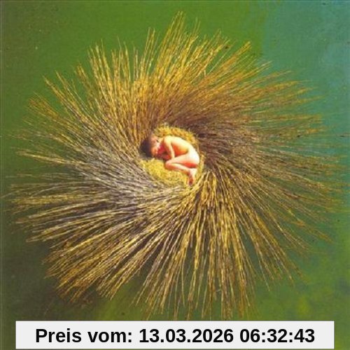 Peter Gabriel Ovo
