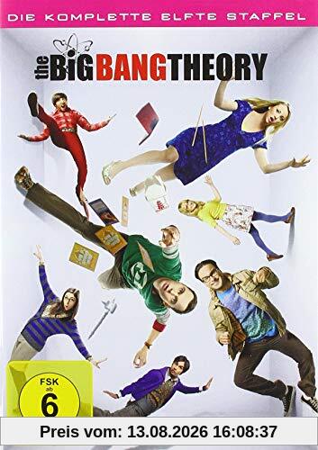 The Big Bang Theory - Die komplette elfte Staffel [2 DVDs]