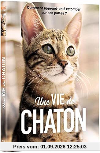 Une vie de chaton [FR Import]