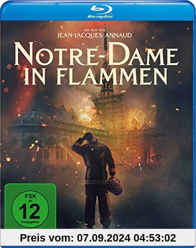 Notre-Dame in Flammen [Blu-ray]