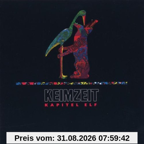 Kapitel Elf