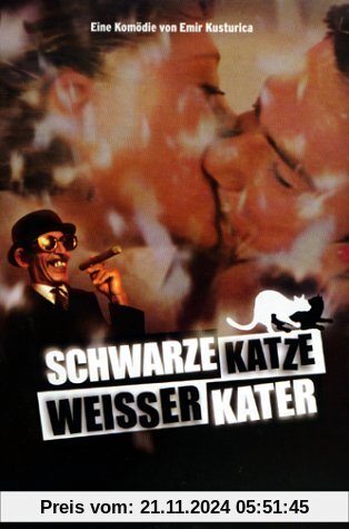 Schwarze Katze, weißer Kater