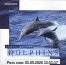 Dance of the Dolphins