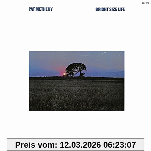 Pat Metheny Bright Size Life