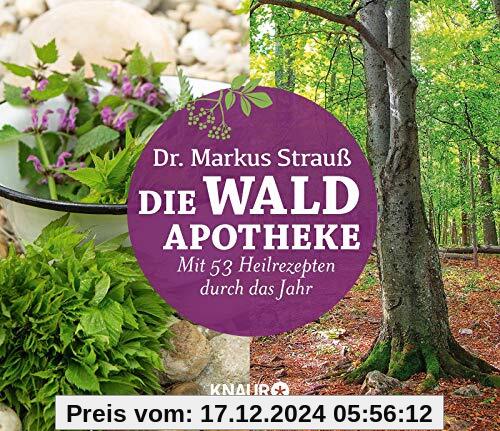 Die Wald-Apotheke: Mit 53 Heilrezepten durch das Jahr