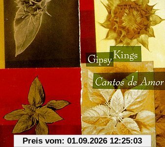 CANTOS DE AMOR