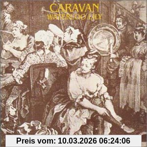 Caravan Waterloo Lily