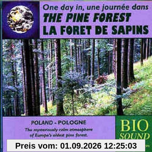 The Pine Forest