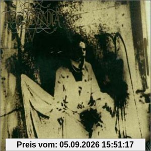 Sounds of Decay