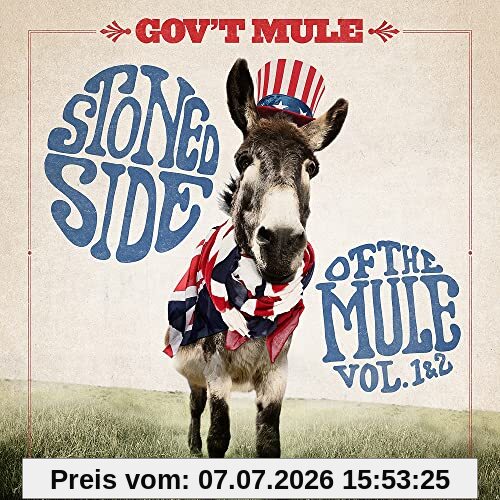 Gov'T Mule Stoned Side Of The Mule