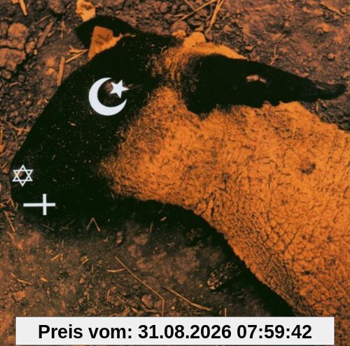 Animositisomina