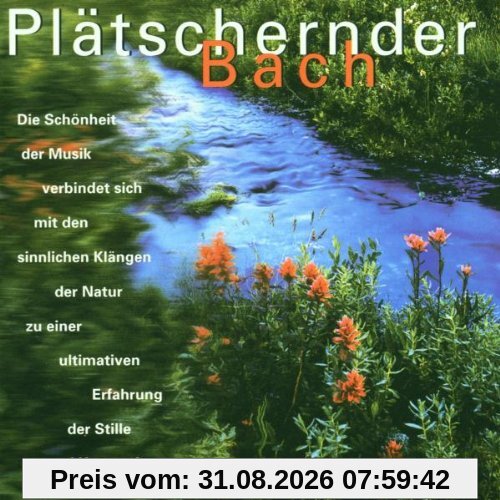 Plätschernder Bach