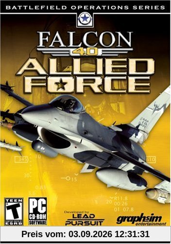 Falcon 4.0 : allied force